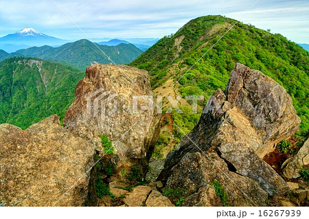 鬼ヶ岩から新緑の蛭ヶ岳と富士山 鬼ヶ岩から新緑の蛭ヶ岳と富士山 16267939