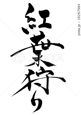 筆文字 紅葉狩り 16267984