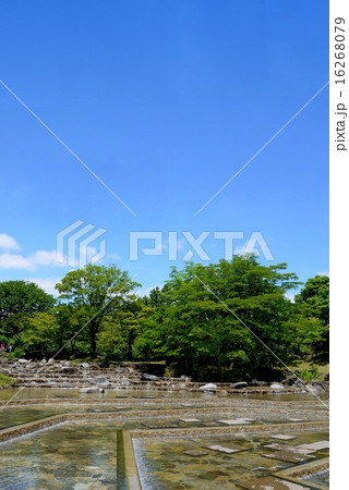 府中市郷土の森博物館 水遊びの池（6月） 16268079