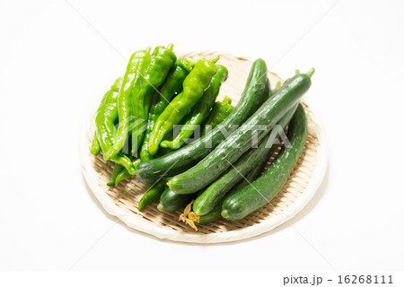 しし唐とキュウリ 16268111