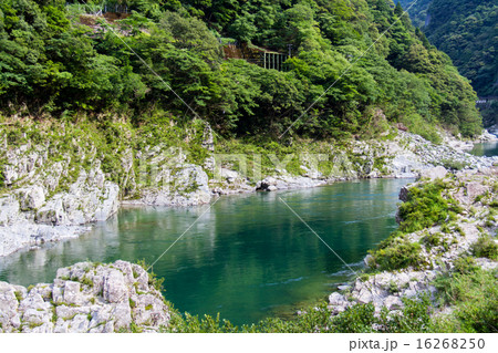 徳島県　大歩危峡 16268250