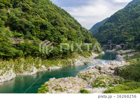徳島県三好市　大歩危峡 16268256