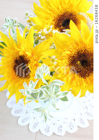 ゴッホのヒマワリとハツユキソウとアスチルベとマトリカリアのアレンジ（縦　アップ） 16268438