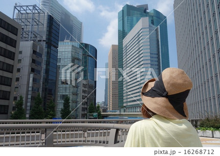 銀座東7丁目歩道橋よりオフィスビルを眺める 銀座東7丁目歩道橋よりオフィスビルを眺める 16268712