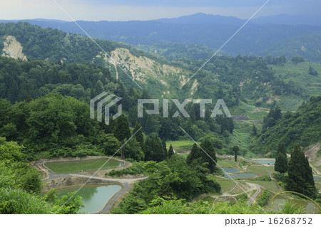 山古志の棚田 16268752