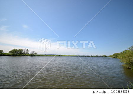 夏の釧路湿原 16268833
