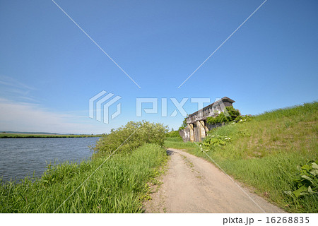 夏の釧路湿原 16268835