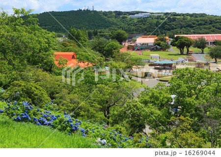 マザー牧場の眺望 16269044