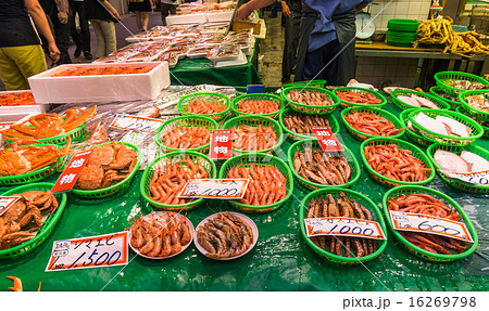 金沢 近江町市場 金沢 近江町市場 16269798