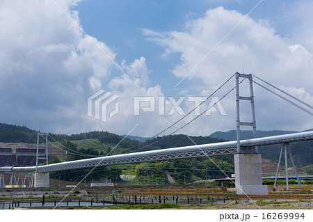 希望の架け橋 16269994