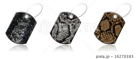 Set of labels of snake skin Set of labels of snake skin 16270383