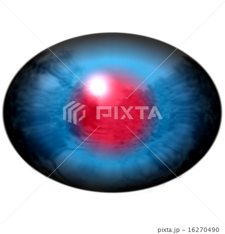 Blue animal eye with open pupil and red retina 16270490