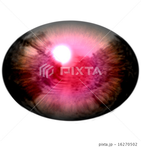 Raptor purple eye with pupil and bright red retina 16270502