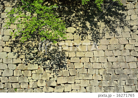 福井散歩：福井城石垣 16271765