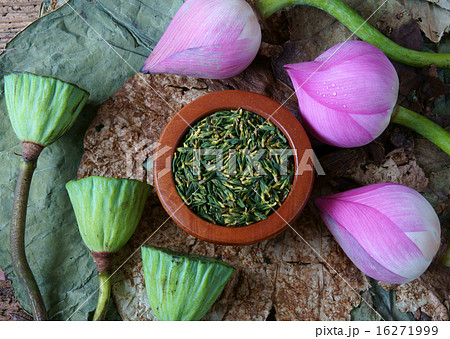Collection lotus flower, seed, tea, healthy food Collection lotus flower, seed, tea, healthy food 16271999
