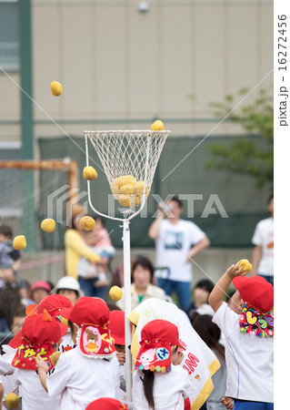 運動会の玉入れ 運動会の玉入れ 16272456