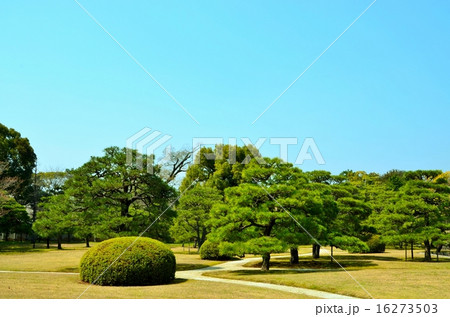 二条城　二の丸庭園 16273503