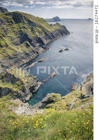 view from Reencaheragh to Skellig Island view from Reencaheragh to Skellig Island 16274472