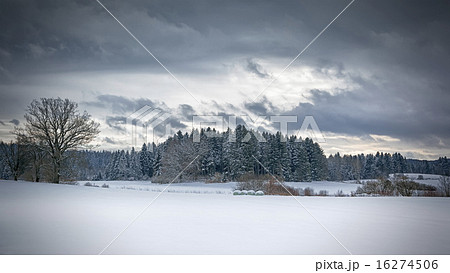 winter scenery 16274506