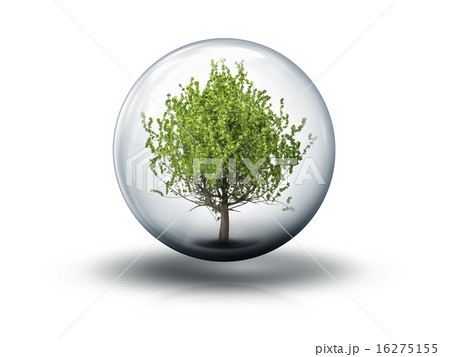 bubble with a tree bubble with a tree 16275155