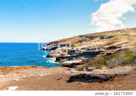 Hawaii - Lanai Lookout, Oahu 16275800