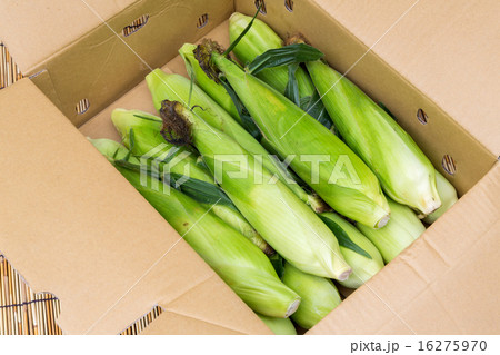 箱詰めのトウモロコシ 箱詰めのトウモロコシ 16275970