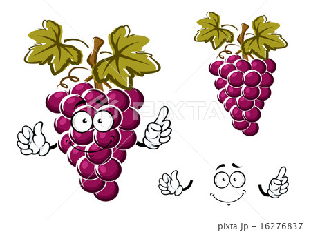 Cartoon purple grape fruit character 16276837