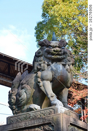 狛犬 八坂神社 京都市東山区祇園町 の写真素材