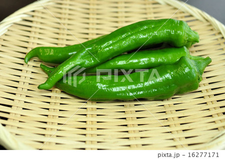 万願寺とうがらし 16277171