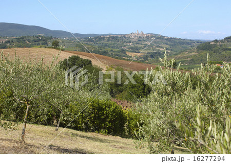風景（フィレンツエ郊外） 風景（フィレンツエ郊外） 風景（フィレンツエ郊外