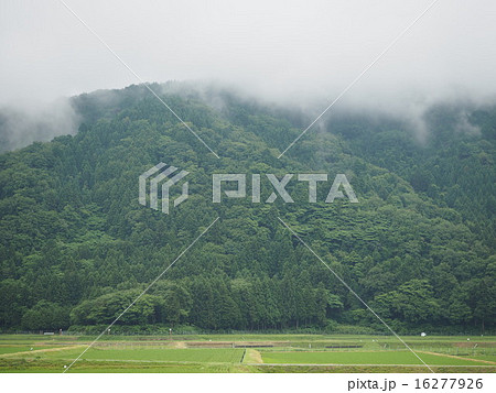 雨上がり山から立ち上る霧と田んぼ 16277926