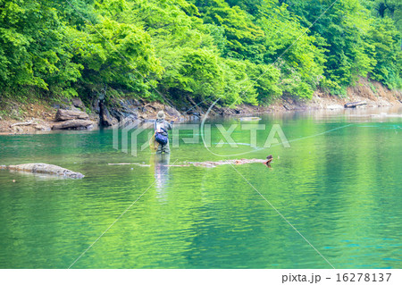 新潟県魚沼市・奥只見湖　新緑が水面に映り込む清流でフライフィッシングをする人 16278137