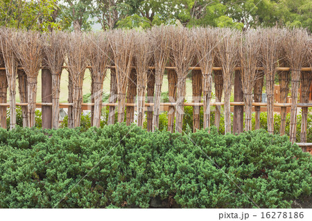 natural wooden wall of japanese style natural wooden wall of japanese style 16278186