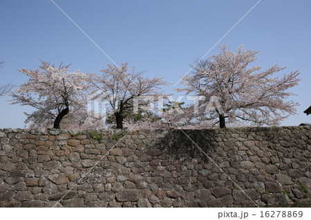 松代城跡 16278869