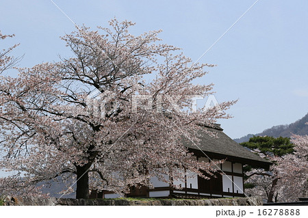 松代城跡 松代城跡 16278888