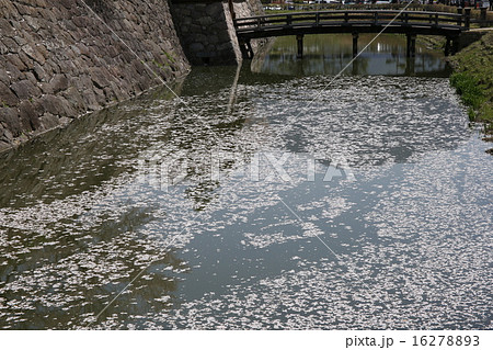 松代城跡 16278893