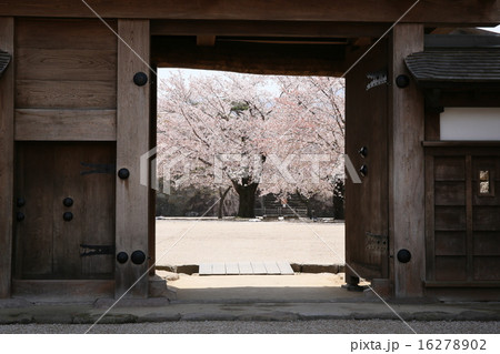 松代城跡 松代城跡 16278902