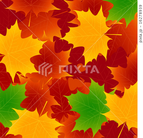 もみじ　紅葉　背景  16278939