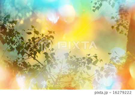 Leaves Leaves 16279222