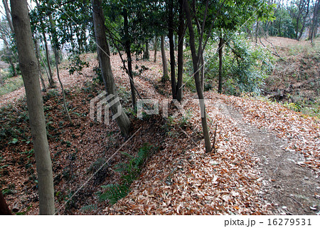 武蔵松山城　土橋 16279531