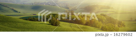 Rural landscape Rural landscape 16279602