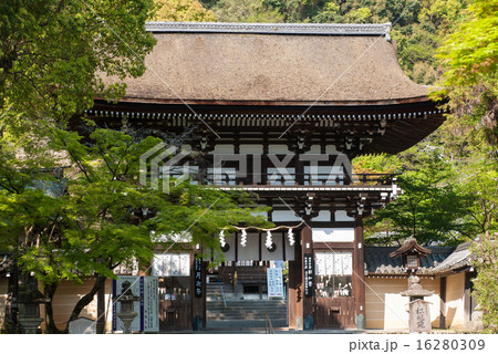 松尾大社　楼門 16280309