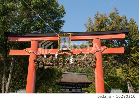 松尾大社　大鳥居 16280310