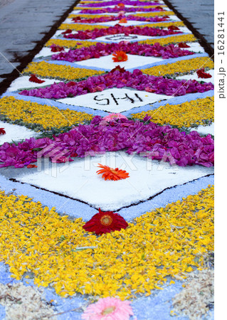 petal and flower carpet for corpus domini petal and flower carpet for corpus domini 16281441