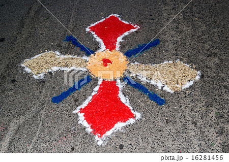petal and flower carpet for corpus domini 16281456