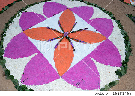 petal and flower carpet for corpus domini petal and flower carpet for corpus domini 16281465