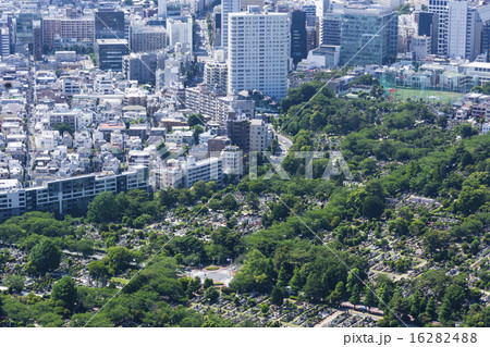 都立青山霊園 16282488