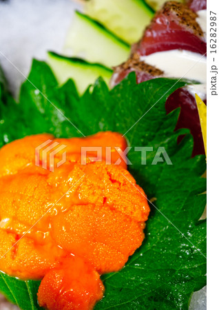 fresh sushi choice  assortment selection 16282987