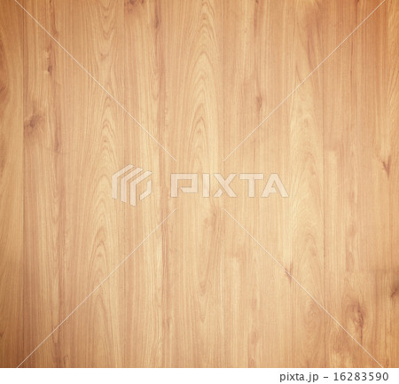 Hardwood maple basketball 16283590