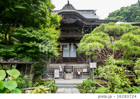 妙法寺 本堂 妙法寺 本堂 16283724
